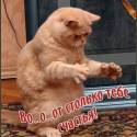 С днем рождения Угар!!!!