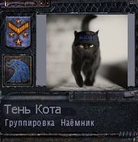 Кот, ну вот так