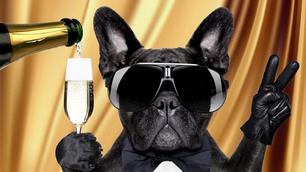 С Днём Рождения, дружище! С Днём Рождения, дружище!