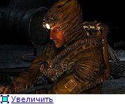 S.T.A.L.K.E.R "Фотореалистичная зона: Живность"