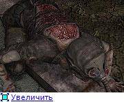 S.T.A.L.K.E.R "Фотореалистичная зона: Живность"