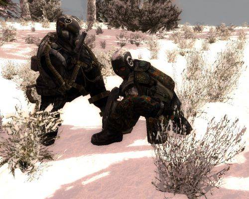 S.T.A.L.K.E.R.: Зов Припяти "END WAR MOD (Winter) 2010"